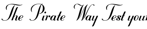 Font : StuyvesantICG-Solid Custom Text : The Pirate Way Test your own text here Click to download or to view this font on a tshirt that can be custom printed in Bali