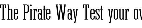 Font : Stymie-Obelisk Custom Text : The Pirate Way Test your own text here Click to download or to view this font on a tshirt that can be custom printed in Bali