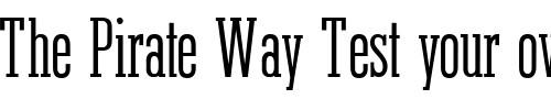 Font : StymieObelisk-Regular Custom Text : The Pirate Way Test your own text here Click to download or to view this font on a tshirt that can be custom printed in Bali