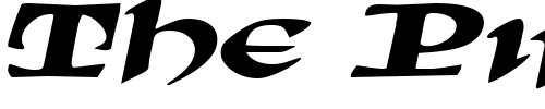 Font : SunSplashExtended-Italic Custom Text : The Pirate Way Test your own text here Click to download or to view this font on a tshirt that can be custom printed in Bali
