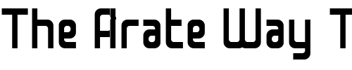 Font : Superfly-2001-Heavy Custom Text : The Pirate Way Test your own text here Click to download or to view this font on a tshirt that can be custom printed in Bali