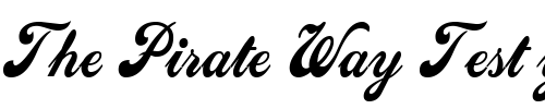Font : Sweden-Condensed-Normal Custom Text : The Pirate Way Test your own text here Click to download or to view this font on a tshirt that can be custom printed in Bali