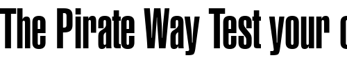 Font : Swiss911-UCm-BT Custom Text : The Pirate Way Test your own text here Click to download or to view this font on a tshirt that can be custom printed in Bali