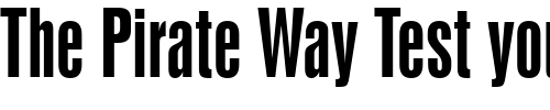Font : Swiss924-BT Custom Text : The Pirate Way Test your own text here Click to download or to view this font on a tshirt that can be custom printed in Bali