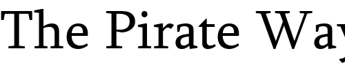 Font : Sylfaen Custom Text : The Pirate Way Test your own text here Click to download or to view this font on a tshirt that can be custom printed in Bali