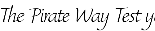 Font : Synthetica Custom Text : The Pirate Way Test your own text here Click to download or to view this font on a tshirt that can be custom printed in Bali