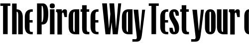 Font : TFRaincheck-Bold Custom Text : The Pirate Way Test your own text here Click to download or to view this font on a tshirt that can be custom printed in Bali