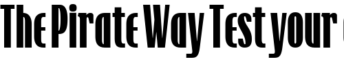 Font : TFRaincheck-Heavy Custom Text : The Pirate Way Test your own text here Click to download or to view this font on a tshirt that can be custom printed in Bali