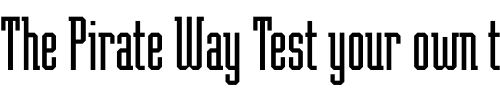 Font : Teknik-LET-Plain-1 Custom Text : The Pirate Way Test your own text here Click to download or to view this font on a tshirt that can be custom printed in Bali