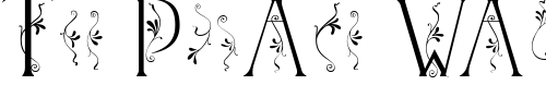 Font : Tendril-Medium Custom Text : The Pirate Way Test your own text here Click to download or to view this font on a tshirt that can be custom printed in Bali