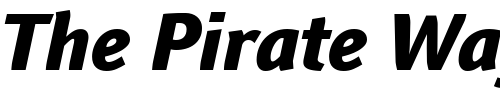Font : Textra-LT-Heavy-Italic Custom Text : The Pirate Way Test your own text here Click to download or to view this font on a tshirt that can be custom printed in Bali