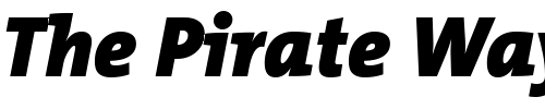 Font : TheMix-Black-Italic Custom Text : The Pirate Way Test your own text here Click to download or to view this font on a tshirt that can be custom printed in Bali