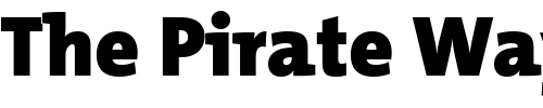 Font : TheMix-Black-Plain Custom Text : The Pirate Way Test your own text here Click to download or to view this font on a tshirt that can be custom printed in Bali
