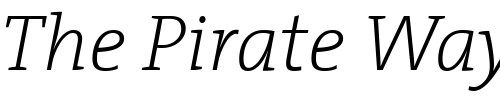 Font : TheSerif-ExtraLight-Italic Custom Text : The Pirate Way Test your own text here Click to download or to view this font on a tshirt that can be custom printed in Bali