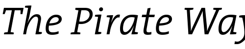Font : TheSerif-SemiLight-Italic Custom Text : The Pirate Way Test your own text here Click to download or to view this font on a tshirt that can be custom printed in Bali