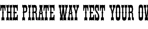 Font : Thunderbird_Becker_Ext_Cond Custom Text : The Pirate Way Test your own text here Click to download or to view this font on a tshirt that can be custom printed in Bali