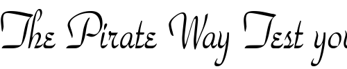 Font : WaldorfScriptCondensed Custom Text : The Pirate Way Test your own text here Click to download or to view this font on a tshirt that can be custom printed in Bali