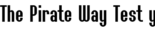 Font : ft36 Custom Text : The Pirate Way Test your own text here Click to download or to view this font on a tshirt that can be custom printed in Bali