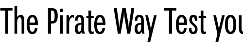 Font : ft65 Custom Text : The Pirate Way Test your own text here Click to download or to view this font on a tshirt that can be custom printed in Bali