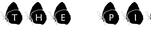 Font : pf_bfly1 Custom Text : The Pirate Way Test your own text here Click to download or to view this font on a tshirt that can be custom printed in Bali