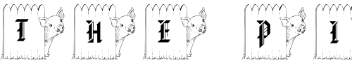 Font : pf_fence-pig Custom Text : The Pirate Way Test your own text here Click to download or to view this font on a tshirt that can be custom printed in Bali