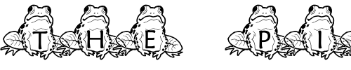 Font : pf_frog_sitting Custom Text : The Pirate Way Test your own text here Click to download or to view this font on a tshirt that can be custom printed in Bali