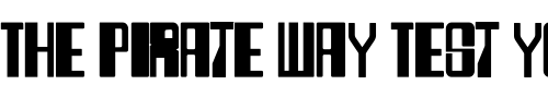 Font : rollerball Custom Text : The Pirate Way Test your own text here Click to download or to view this font on a tshirt that can be custom printed in Bali